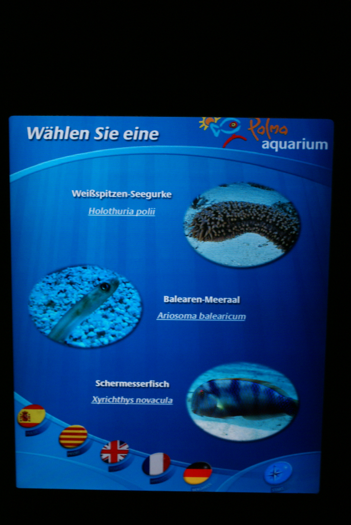 Palma de Mallorca, Spanien – Palma Aquarium